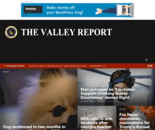Thevalleyreport.com(Thevalleyreport) Screenshot