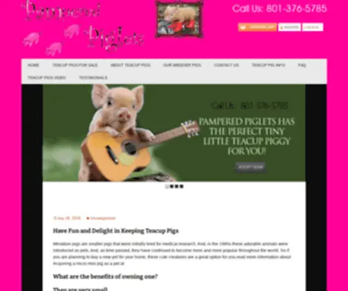Thewhitepath.com(Teacup Pigs make great pets) Screenshot