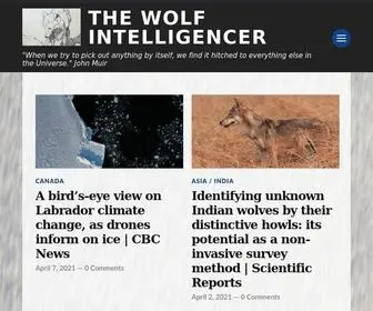 Thewolfintelligencer.com(The Wolf Intelligencer) Screenshot
