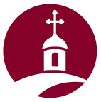 Thewoodlandsumc.org Favicon