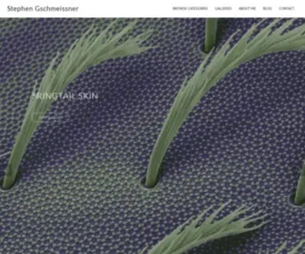 TheWorldcloseup.com(Full Screen Slider) Screenshot