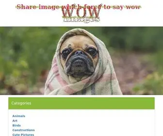 Thewowimages.com(Funny Pictures) Screenshot