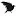 Thewyldwitch.com Favicon