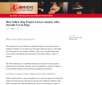 Theyellowdogproject.com(How Yellow Dog Project Lowers Anxiety After Steroids Use in Dogs) Screenshot