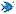 Theyoungu.com Favicon