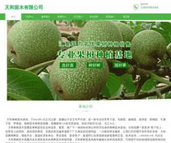 THgsi.com(灵宝市天和苗木公司) Screenshot