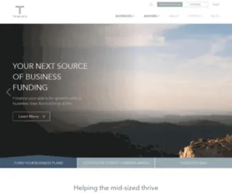 Thincats.com(Business Loans From) Screenshot