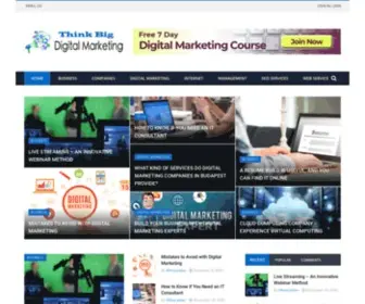 Thinkbigdigitalmarketing.com(Digital Marketing) Screenshot