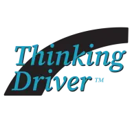 Thinkingdriver.com Favicon