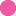 Thinkpink.it Favicon