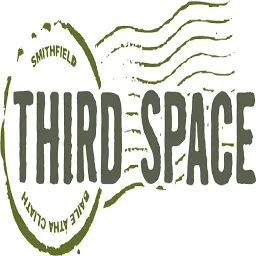 Thirdspace.ie Favicon