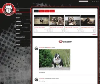 Thisisbully.dog(This Is Bully Your site title) Screenshot