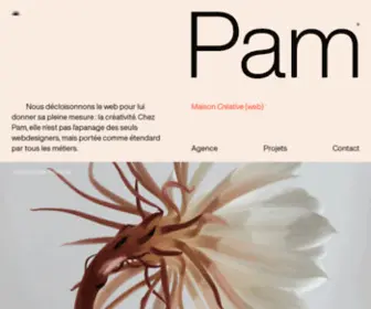 Thisispam.com(Agence web Toulouse) Screenshot