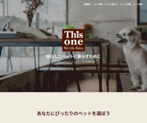 Thisone.co.jp(ディスワン) Screenshot