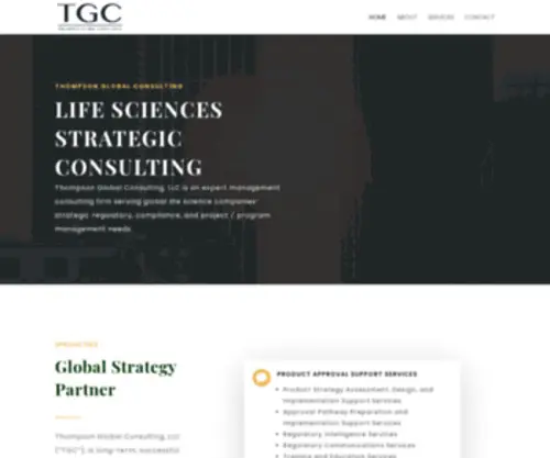 ThompsonGlobalconsulting.com(Thompson Global Consulting) Screenshot