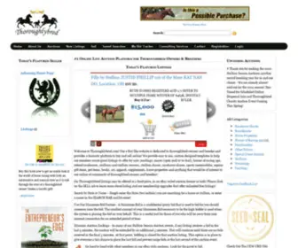 Thoroughlybred.com(Thoroughbred Horse Sales & Auctions) Screenshot