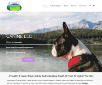 Thousandhillscanine.com(Thousand Hills Canine) Screenshot