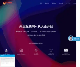 Tianqiltd.com(深圳天企网络资深网络推广公司) Screenshot