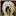 Tibetaanse-Terrier.eu Favicon