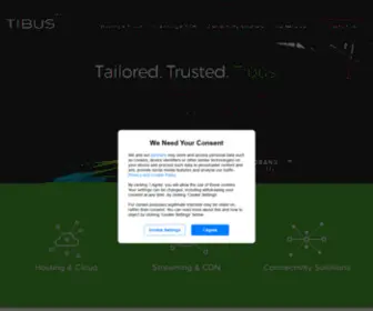 Tibus.ie(Digital Infrastructure) Screenshot