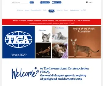 Tica.org(TICA cats) Screenshot