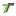 Tideri.com Favicon