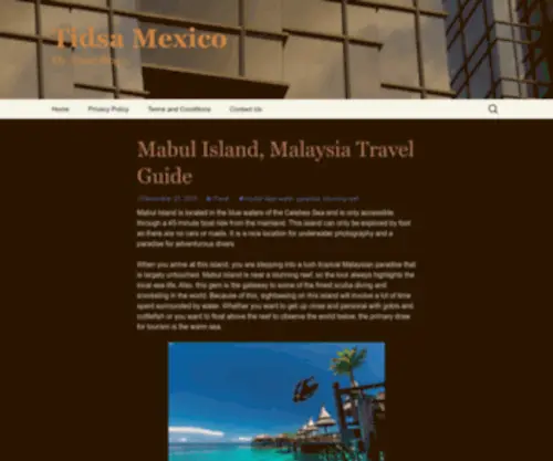 Tidsamexico.com(My Travel Blog) Screenshot