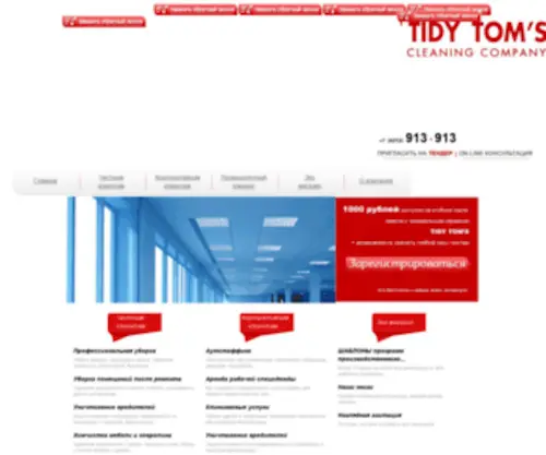 Tidytoms.ru(TIDY TOM’S) Screenshot