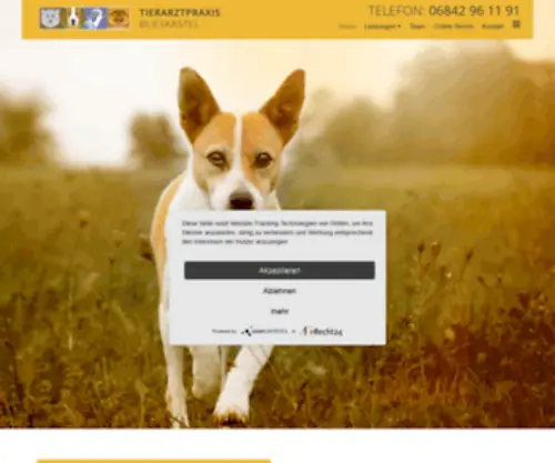 Tierarzt-Blieskastel.de(Tierarzt Blieskastel) Screenshot