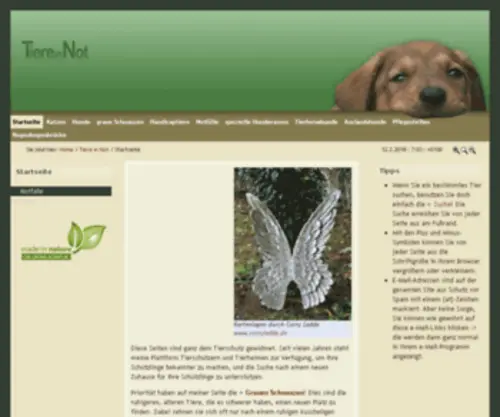 Tiere-IN-Not.de(Domain gecatcht) Screenshot