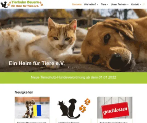 Tierheim-Beuern.com(Tierheim Beuern) Screenshot