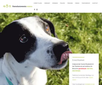 Tierheim-Mannheim.info(Tierheim Mannheim) Screenshot
