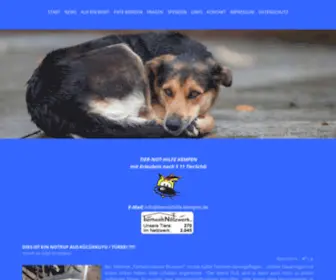 Tiernothilfe-Kempen.de(Katzen Hunde private Vermittlung Kempen Krefeld Grefrath St. Tönis Tönisvorst) Screenshot