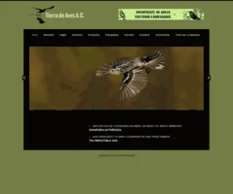 Tierradeaves.com(Tierradeaves) Screenshot