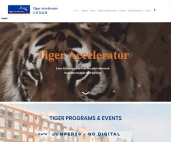 Tigeraccelerator.com(Tiger Accelerator 台荷加速器) Screenshot