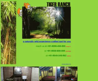 Tigerranch.net(Tiger ranch) Screenshot