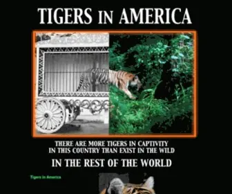 Tigersinamerica.org(Tigers in America) Screenshot