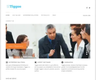 Tiggee.com(Tiggee Internet Technology) Screenshot