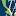 Tijuananoticias.info Favicon
