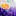 Tiktusart.com Favicon