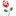 Tilliesflowers.com Favicon