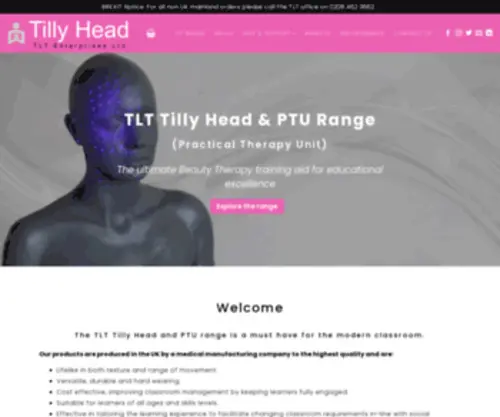 Tillyhead.com(Bot Verification) Screenshot