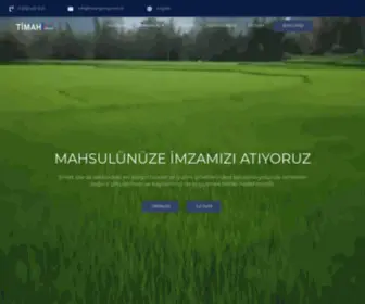 Timahgroup.com(Timah Group) Screenshot
