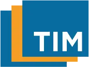 Tim.at Logo