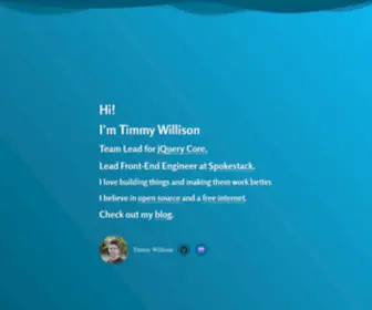 Timmywillison.com(Write more) Screenshot