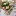 Timryansmith.com Favicon