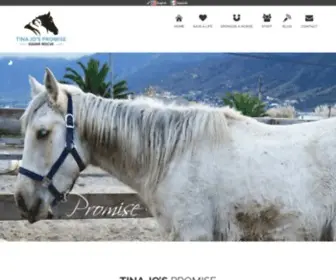 Tinajospromise.org(DONATE TO ANIMAL RESCUE) Screenshot