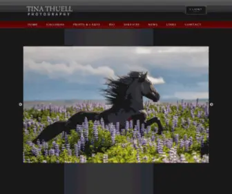 Tinathuellphotography.com(Tina Thuell Photography) Screenshot