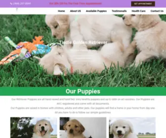 Tindlegoldenretriever.com(Buy glorious maltese Online) Screenshot