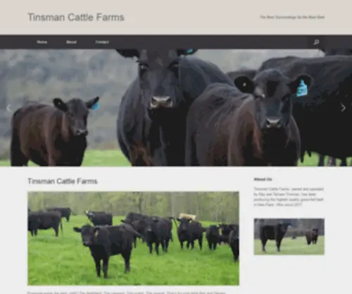 Tinsmancattlefarms.com(New Paris) Screenshot